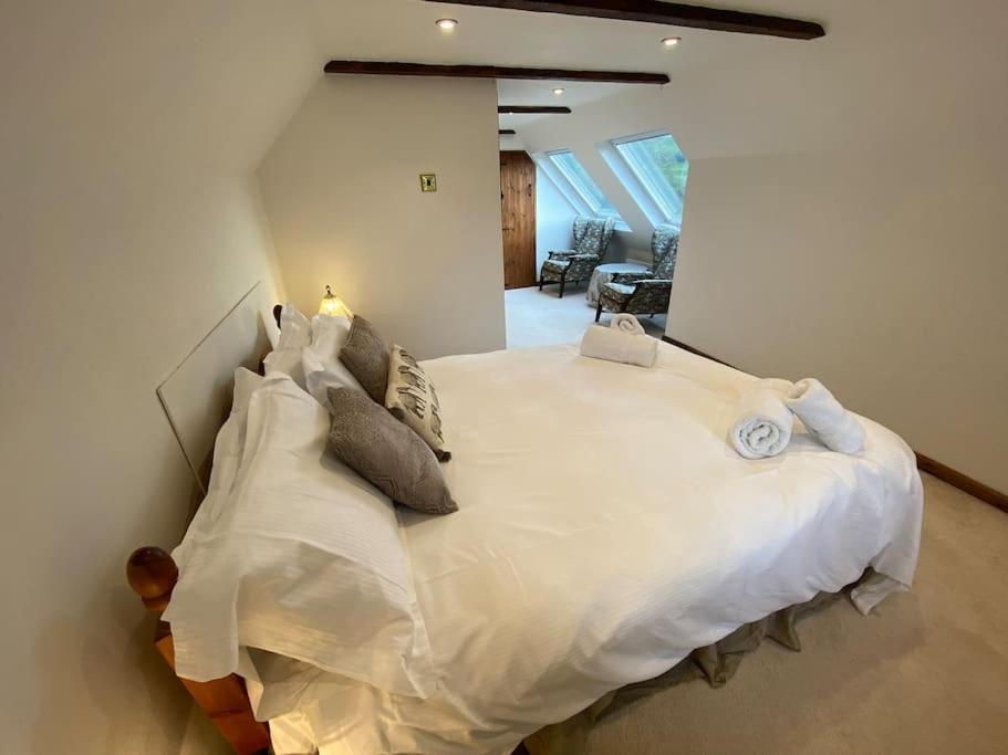 Eco-Friendly Dorset Cottage With Spa Set In Heart Of Countryside Sydling St Nicholas Ngoại thất bức ảnh